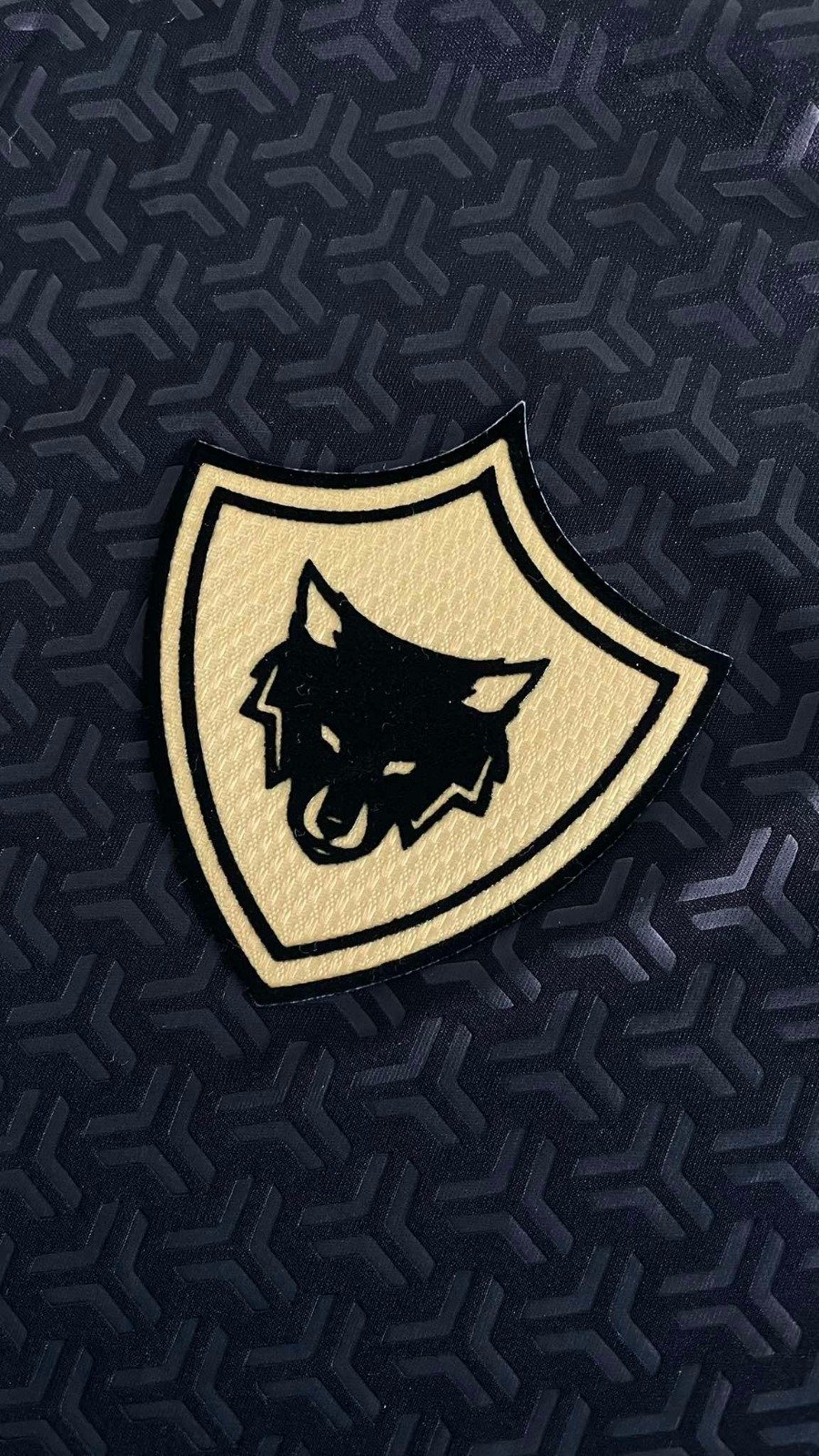 Dark Zorro - Image 2