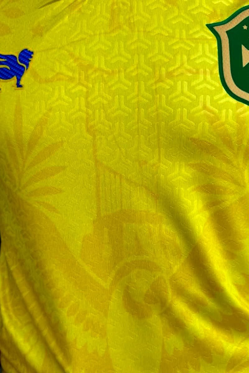 Brasil - Image 2